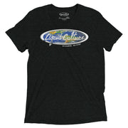 Liquid Culture World men's graphic tee in Charcoal Black